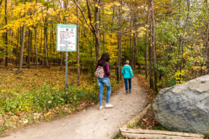 Hanlon Conservation Area-Landscape